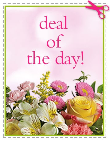 Send The Best Deal of the Day - Biggest Freshest Arrangement